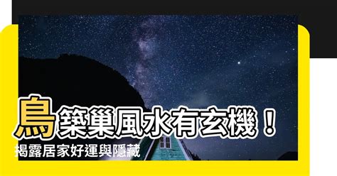 鳥來家裡築巢 風水|鳥巢風水：家居好運大提升